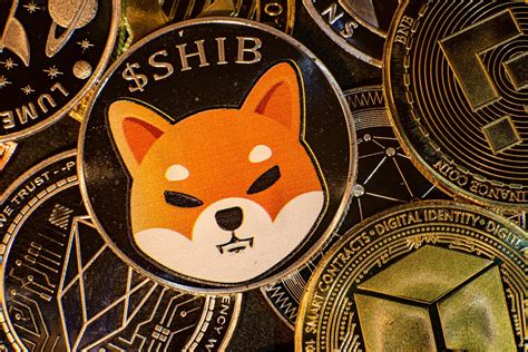 what is shiba inu crypto